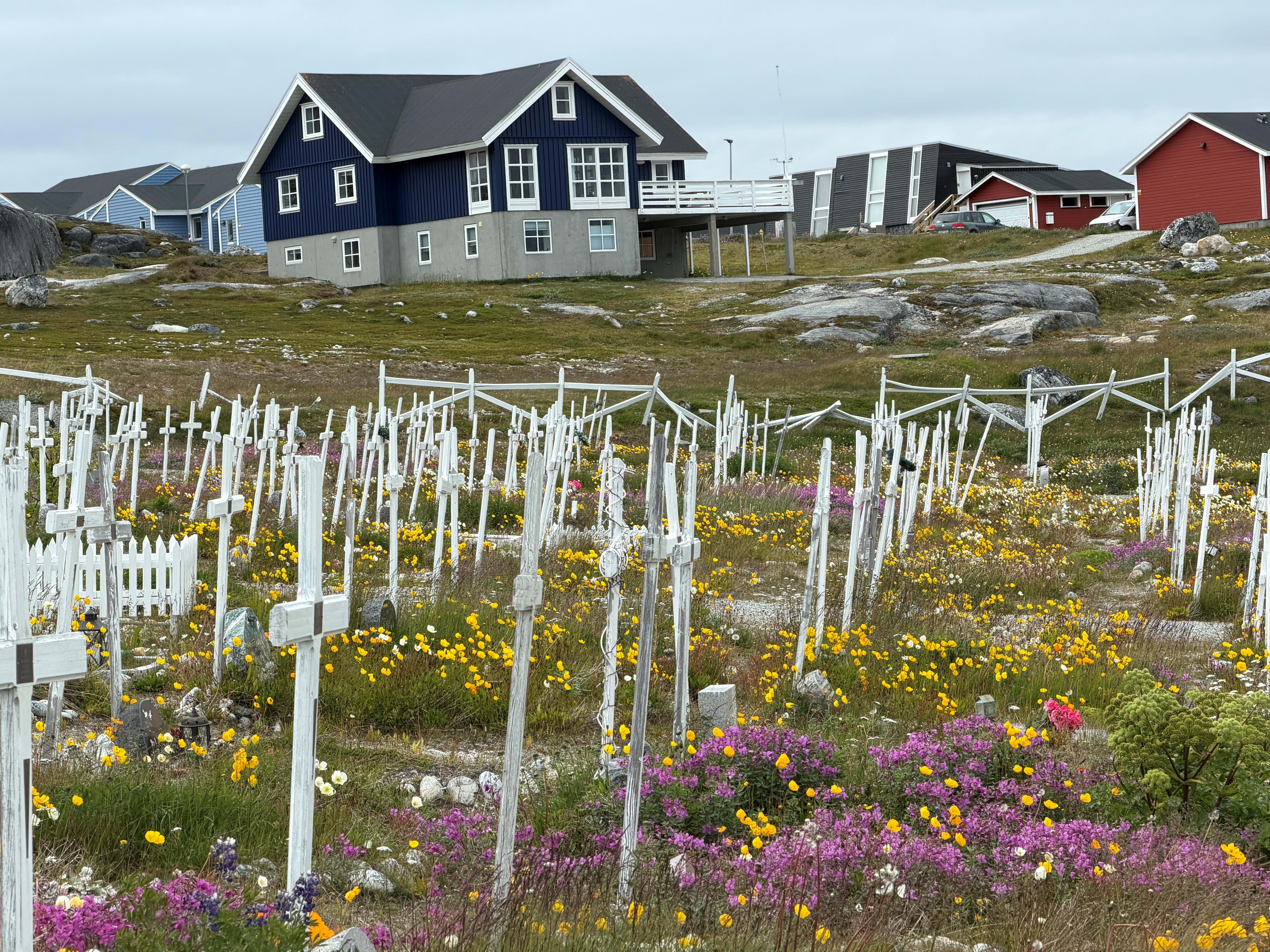 Grønland Nuuk Foto Anne Vibeke Rejser 2026 (10)