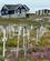 Grønland Nuuk Foto Anne Vibeke Rejser 2026 (10)